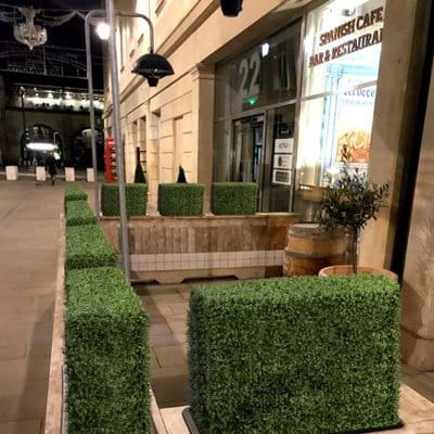 artificial hedges